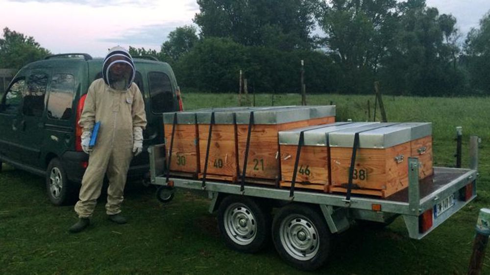 Arrivée des ruches. © Coop de France